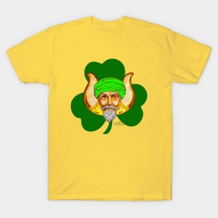 I'm Irish. I Grotto. T-Shirt